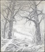 Luc Dartois 1997 - Lisière de forêt en Normandie, dessin préparatoire - Crayon sur papier