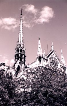 Luc Dartois 1998 - Paris, Notre-dame