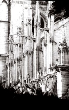 Luc Dartois 1998 - Paris, Notre-dame (detail)