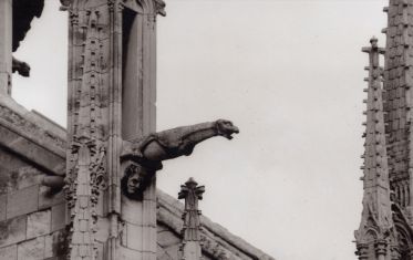 Luc Dartois 1998 - Paris, Notre-dame (detail)