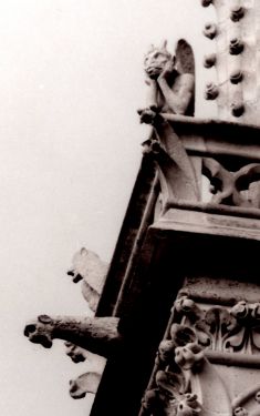 Luc Dartois 1998 - Paris, Notre-dame (detail)