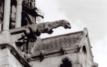 Luc Dartois 1998 - Paris, Notre-dame (detail)