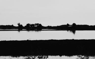 Luc Dartois 2009 - Thailande, paysage de riziere