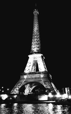 Luc Dartois 2015 - Paris la nuit, Fluctuat nec mergitur