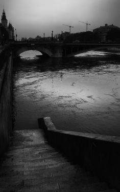 Luc Dartois 2016 - Paris flood, Notre-Dame bridge