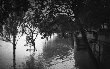 Luc Dartois 2016 - Paris flood, Banks of Seine