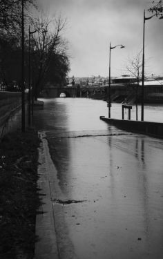 Luc Dartois 2018 - Paris flood under the rain, Alexandre III bridge