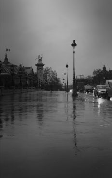 Luc Dartois 2018 - Paris under the rain, Alexandre III bridge