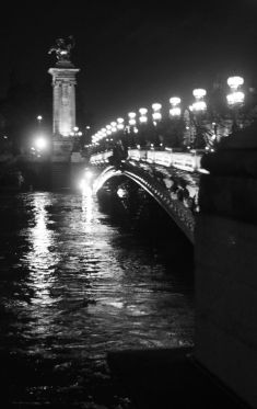 Luc Dartois 2018 - Paris by night flood, Alexandre III bridge