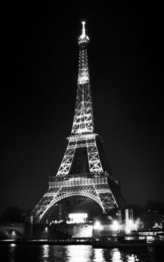Luc Dartois 2019 - Paris by night, Eiffel Tower 130th anniversary (22)