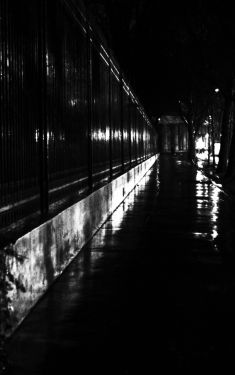Luc Dartois 2019 - Paris by night under the rain, Monceau Park railings