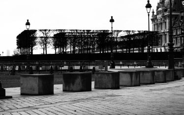 Luc Dartois 2020 - Paris under containment, The Louvre garden (2)