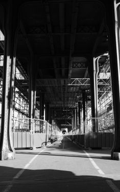 Luc Dartois 2020 - Paris under containment, Bir-Hakeim Bridge