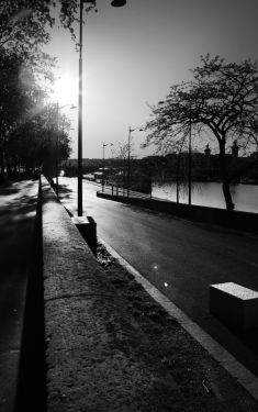 Luc Dartois 2020 - Paris sous confinement, Quai d‘Orsay