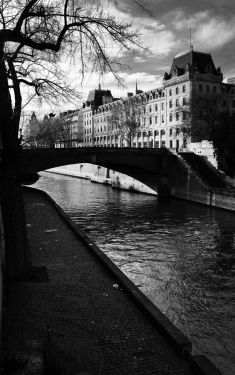 Luc Dartois 2020 - Paris sous confinement, Quai de Montebello