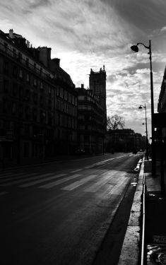 Luc Dartois 2020 - Paris under containment, Rivoli Street (8)