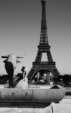 Luc Dartois 2020 - Paris under containment, Eiffel Tower (2)