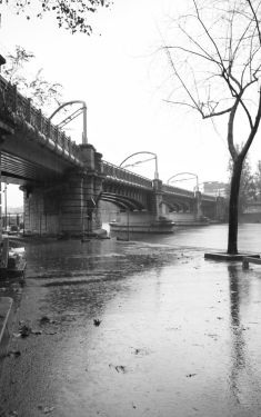 Luc Dartois 2020 - Paris under the rain, Rouelle bridge (1)