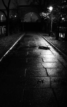 Luc Dartois 2020 - Paris la nuit sous la pluie, Allée des Cygnes (1)
