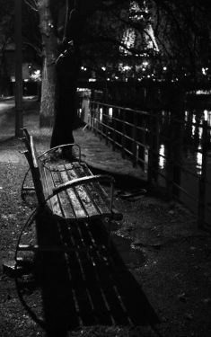 Luc Dartois 2020 - Paris la nuit sous la pluie, Allée des Cygnes (2)