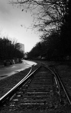 Luc Dartois 2021 - Paris sous la pluie, Chemin de fer de la Petite Ceinture (3)