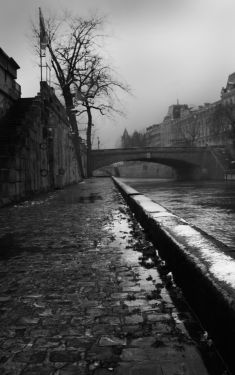 Luc Dartois 2021 - Paris under the rain, Montebello bank and "Petit Pont"