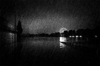 Luc Dartois 2021 - Inondations à Paris (2) - Token noir