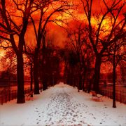 Luc Dartois 2021 - Swans Alley - Digital photomontage