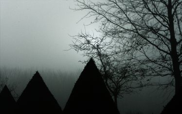 Luc Dartois 2008 - Brouillard en Normandie