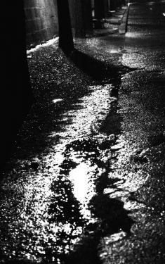 Luc Dartois 2008 - Paris la nuit sous la pluie, reflets sur les Quais de Seine