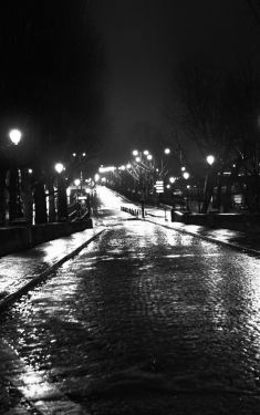 Luc Dartois 2008 - Paris by night under the rain, The street (2)