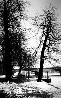 Luc Dartois 2009 - Paris sous la neige, Quais de Seine