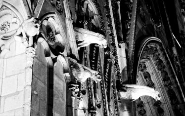 Luc Dartois 2009 - Paris la nuit, Notre-Dame (6)