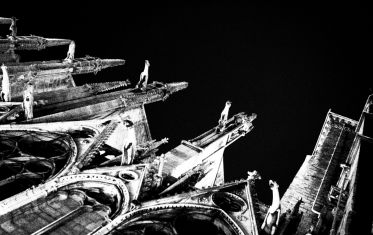 Luc Dartois 2009 - Paris la nuit, Notre-Dame (7)
