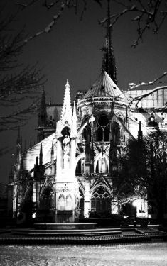 Luc Dartois 2009 - Paris by night under the snow, Notre-Dame