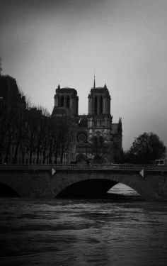 Luc Dartois 2018 - Paris flood, Notre-Dame