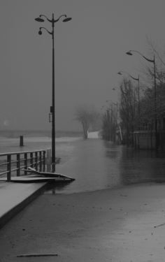 Luc Dartois 2018 - Paris inondations sous la neige, berges Rive Gauche