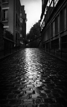 Luc Dartois 2019 - Paris under the rain, Berton Street (2)