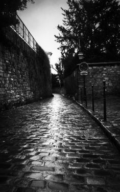 Luc Dartois 2019 - Paris sous la pluie, Rue Berton (3)
