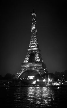 Luc Dartois 2019 - Paris by night, Eiffel Tower 130th anniversary (1)