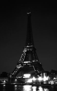 Luc Dartois 2019 - Paris by night, Eiffel Tower 130th anniversary (2)