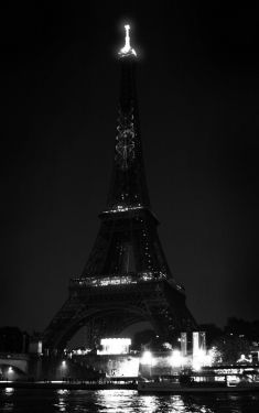 Luc Dartois 2019 - Paris by night, Eiffel Tower 130th anniversary (5)