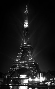 Luc Dartois 2019 - Paris by night, Eiffel Tower 130th anniversary (9)