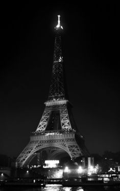 Luc Dartois 2019 - Paris by night, Eiffel Tower 130th anniversary (13)