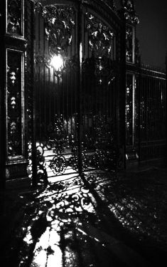 Luc Dartois 2019 - Paris by night under the rain, Monceau Park entrance gate