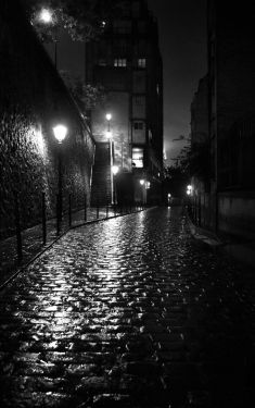 Luc Dartois 2019 - Paris la nuit sous la pluie, Rue Berton (2)