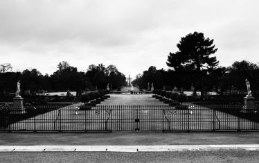 Luc Dartois 2020 - Paris under containment, The Louvre garden