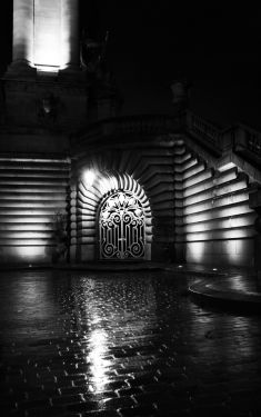 Luc Dartois 2020 - Paris by night under the rain, Alexandre III bridge (1)