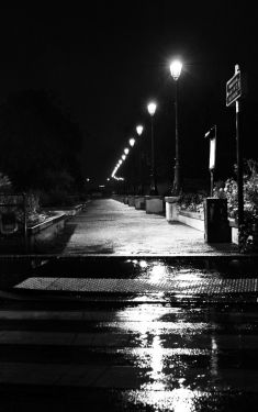 Luc Dartois 2020 - Paris by night under the rain, Promenade of the Quai de Grenelle