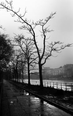 Luc Dartois 2021 - Paris sous la pluie, Allée des Cygnes (1)